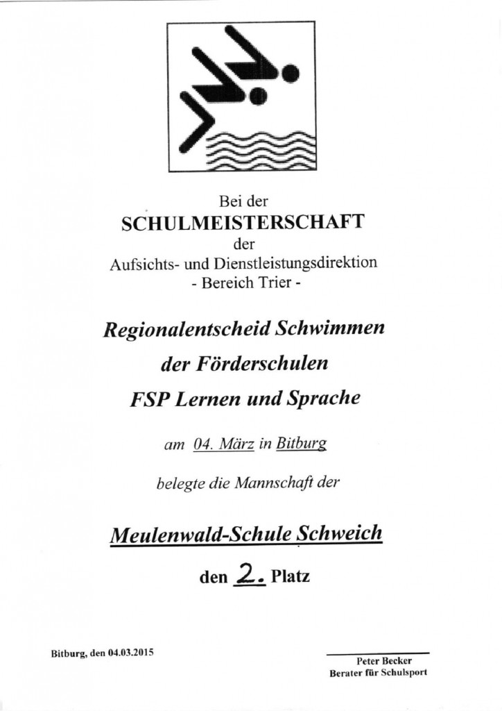 Schwimmurkunde 2015