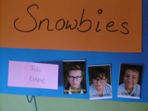 Snowbies